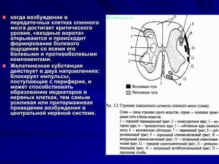 От Паксила Возбуждение Нервной Системы